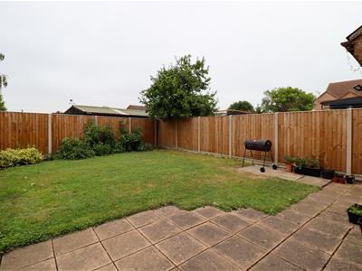 Picture 11